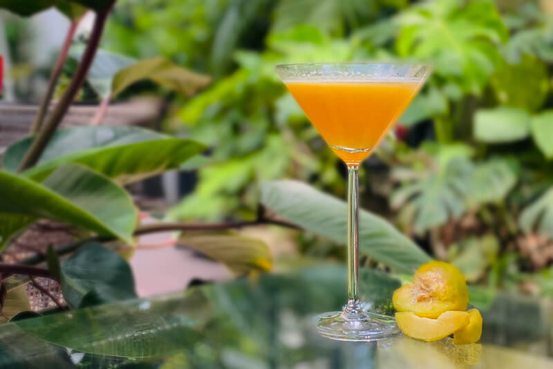 Hanoi Cocktail - Ly Quoc Su